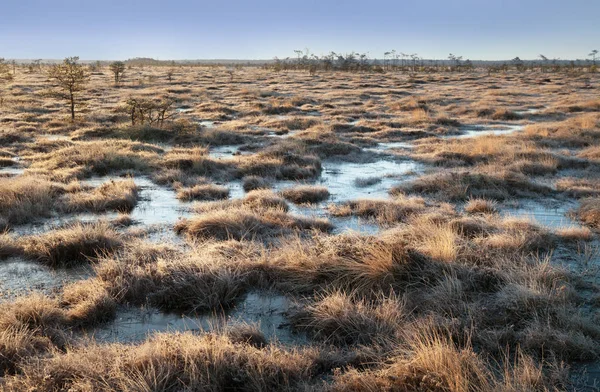 Met het oog op het meer. — Stockfoto