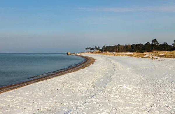 Vinter på stranden av Östersjön. — Stockfoto