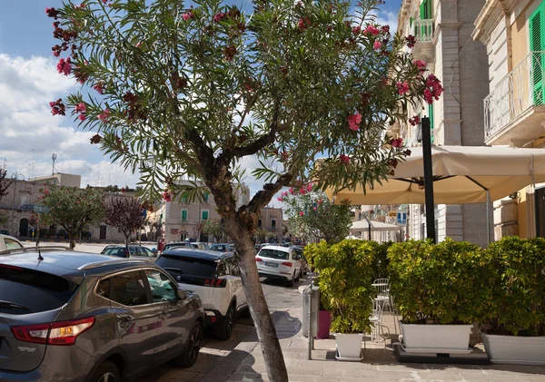 View to street in Giovinazzo. — Stock Photo, Image