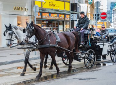 Eski Viyana 'nın geleneksel eski moda arabası.