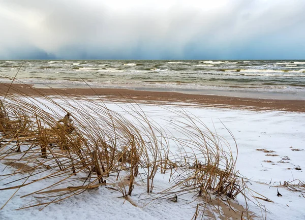 Met het oog op de kust van de Baltische Zee. — Stockfoto