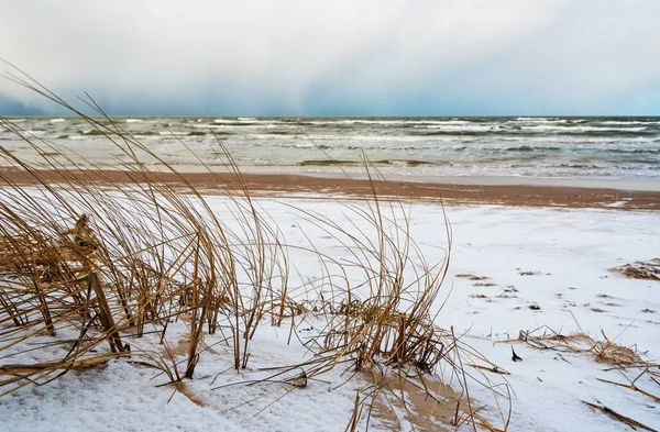 Met het oog op de kust van de Baltische Zee. — Stockfoto