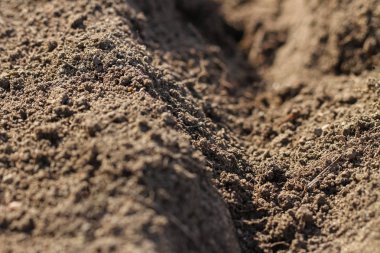  Bahar zamanı toprak dokusu.