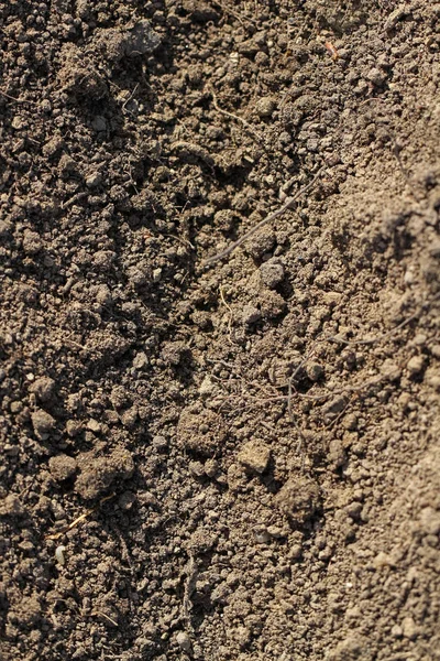 Soil texture in a spring time. — Stock Photo, Image