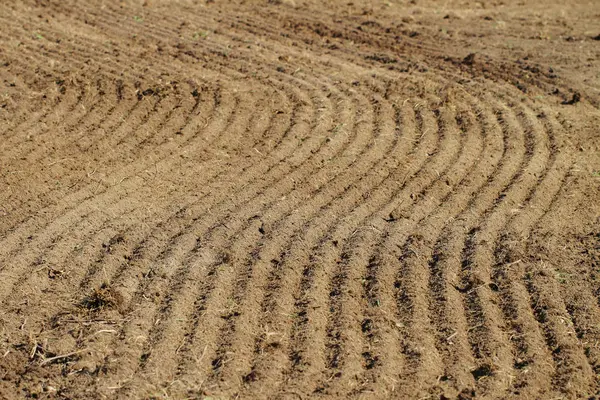 Структура почвы в весеннее время . — стоковое фото