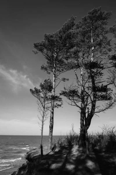 Θέα στην παραλία της θάλασσας στο Jurkalne. — Φωτογραφία Αρχείου