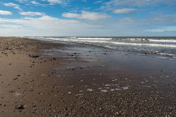 Littoral de la mer Baltique . — Photo