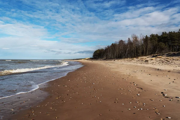 Baltic sea coastline. — Stock Photo, Image