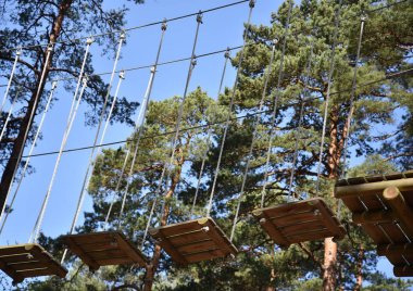 Ormandaki engelli parkı.