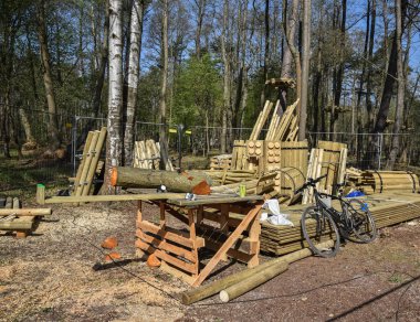 Çam ağacında engelli park.