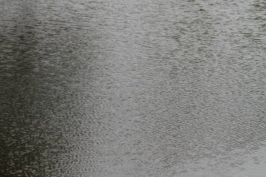 Göldeki suyun yüzeyi.