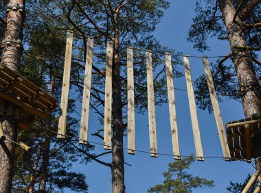 Ormandaki engelli parkı.