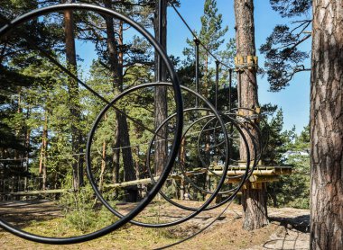 Ormandaki engelli parkı.