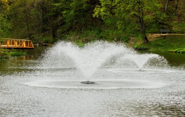 Genel Şehir Parkı. 