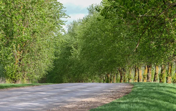 Steegje in het voorjaar. — Stockfoto