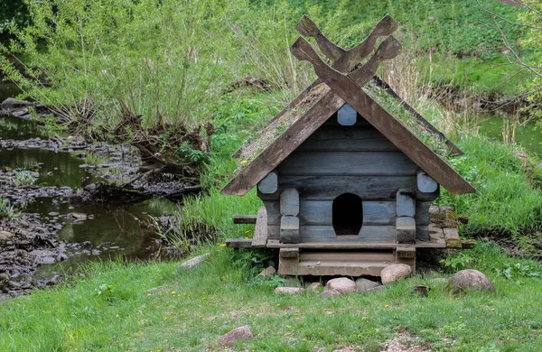 Casas de cisnes en el río . —  Fotos de Stock