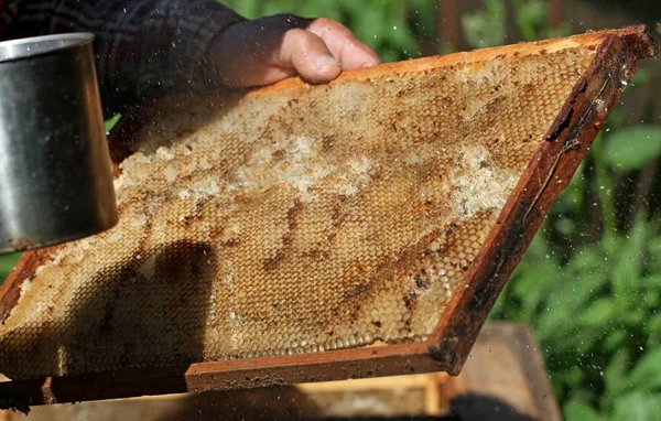 Altes Gestell des Bienenstocks. — Stockfoto