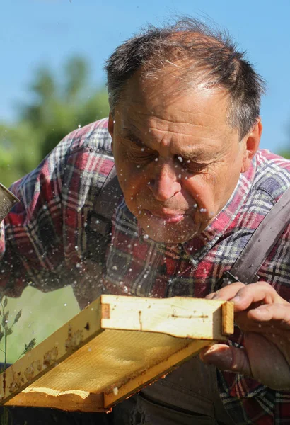 Venku farmář pracuje pro včelařství. — Stock fotografie