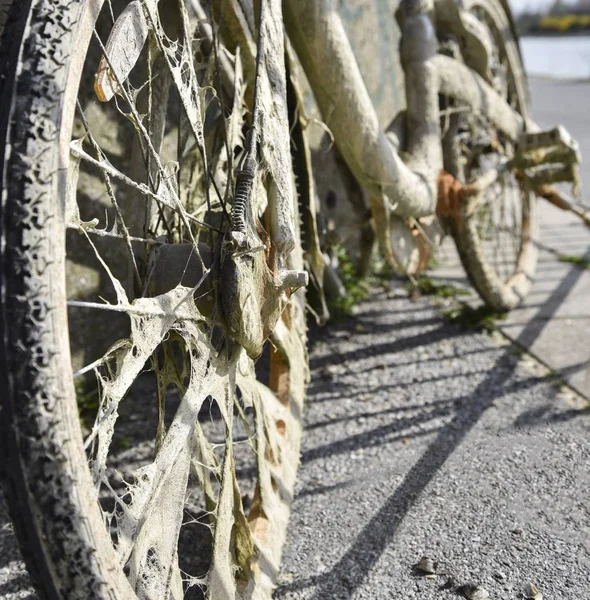 Old bicycle parked on coastline. — Stock Photo, Image