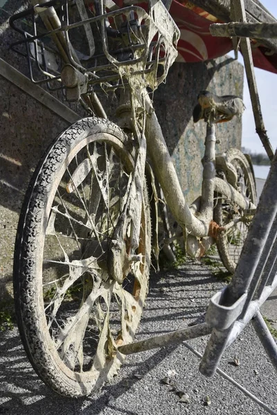 Bicicleta velha estacionada na costa . — Fotografia de Stock