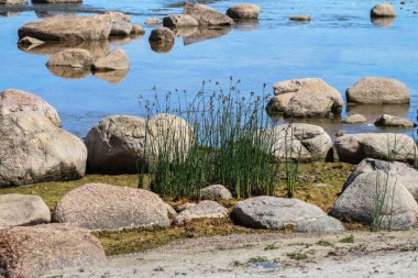 Taşların kıyılarına bak.