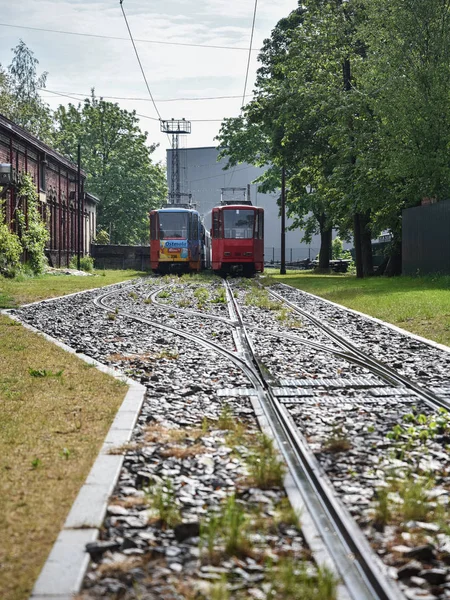 Zicht op de oude trams op het spoor in de depo plaats. — Stockfoto