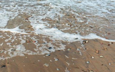 Baltık Denizi Sahili.