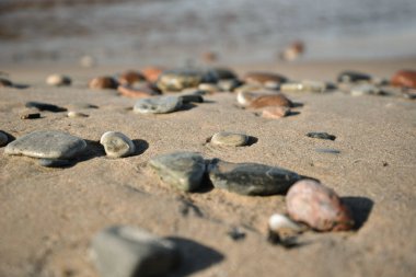 Deniz kenarında çakıl taşları.