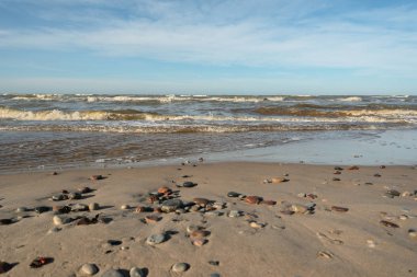 Deniz kenarında çakıl taşları.