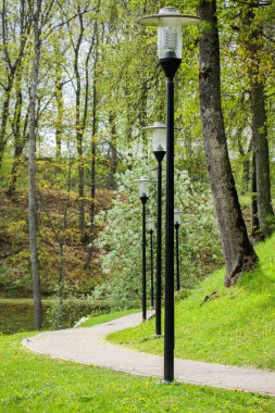 Genel Şehir Parkı. 