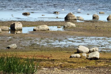 Baltık Denizi Sahili.