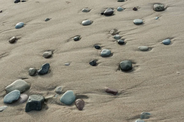 Baltic sea coastline. — Stock Photo, Image