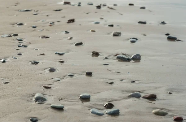 Baltic sea coastline. — Stock Photo, Image