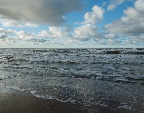 Littoral de la mer Baltique . — Photo