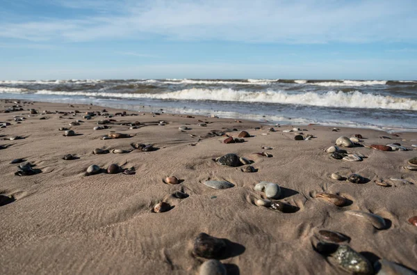 Kieselsteine am Meer. — Stockfoto