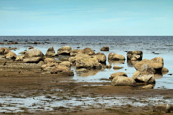 Ostseeküste. — Stockfoto