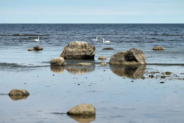 Ακτές της Βαλτικής Θάλασσας. — Φωτογραφία Αρχείου