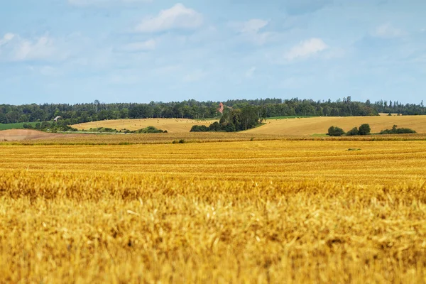 Vista para a paisagem rural . — Fotografia de Stock