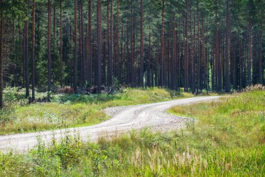 Çakıl ağacı yolu.