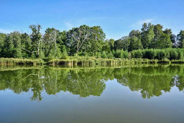 Calm lake surface. — Stock Photo, Image