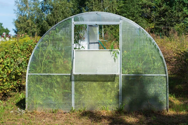 Protective tunnels for berries. — Stock Photo, Image