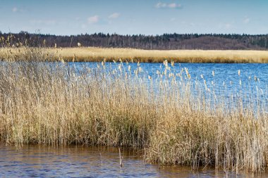 Büyük gölün manzarası.