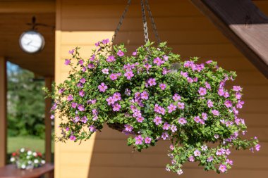 Esrar dışarıda asılı..