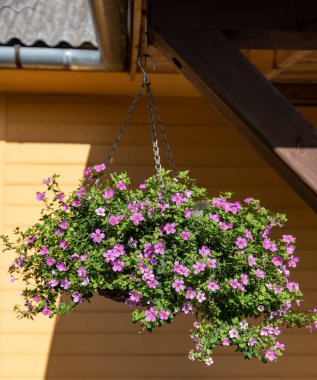 Esrar dışarıda asılı..