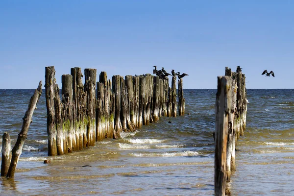 Vista sulla costa del Mar Baltico. — Foto Stock