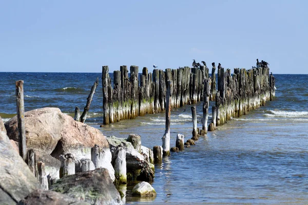 Pohled na pobřeží Baltského moře. — Stock fotografie