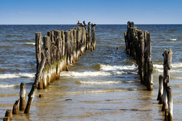 Pohled na pobřeží Baltského moře. — Stock fotografie