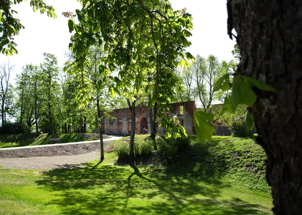 Ruins of castle in Latvia. — Stock Photo, Image