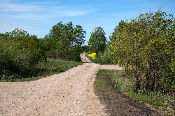 Doğal çakıl yol. — Stok fotoğraf