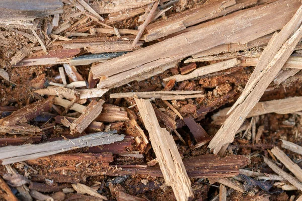 Poškozená dřevěná deska. — Stock fotografie